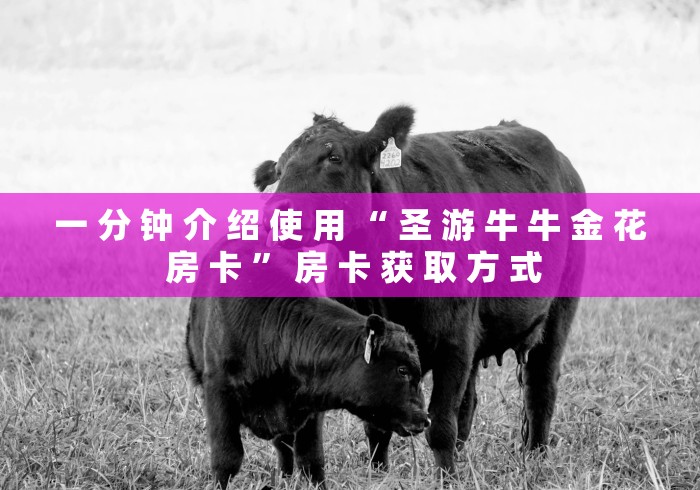 一 分 钟 介 绍 使 用 “ 圣 游 牛 牛 金 花 房 卡 ” 房 卡 获 取 方 式	