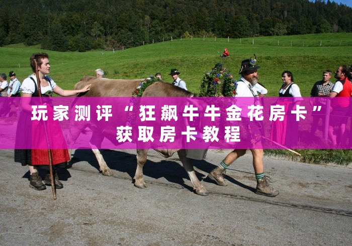 玩 家 测 评 “ 狂 飙 牛 牛 金 花 房 卡 ” 获 取 房 卡 教 程	