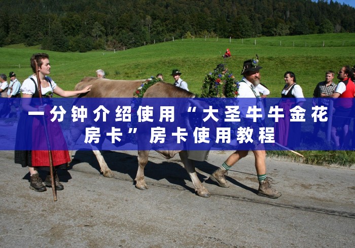 一 分 钟 介 绍 使 用 “ 大 圣 牛 牛 金 花 房 卡 ” 房 卡 使 用 教 程	