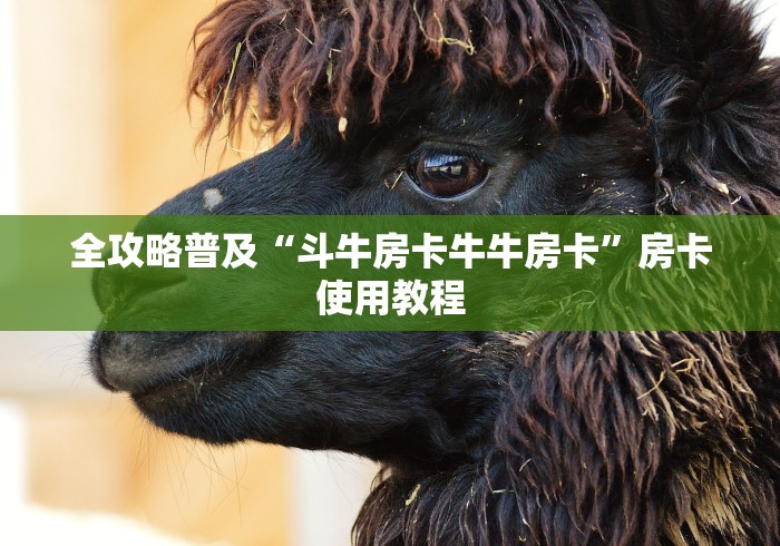 全攻略普及“斗牛房卡牛牛房卡”房卡使用教程 全攻略普及“斗牛房卡牛牛房卡”房卡使用教程
