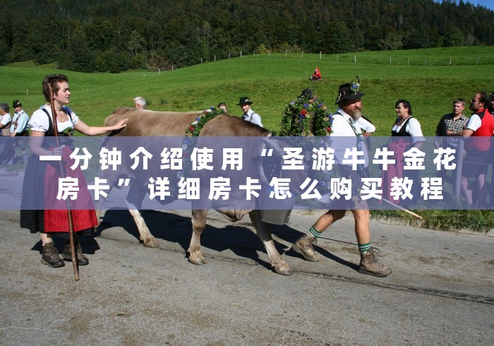 一 分 钟 介 绍 使 用 “ 圣 游 牛 牛 金 花 房 卡 ” 详 细 房 卡 怎 么 购 买 教 程	