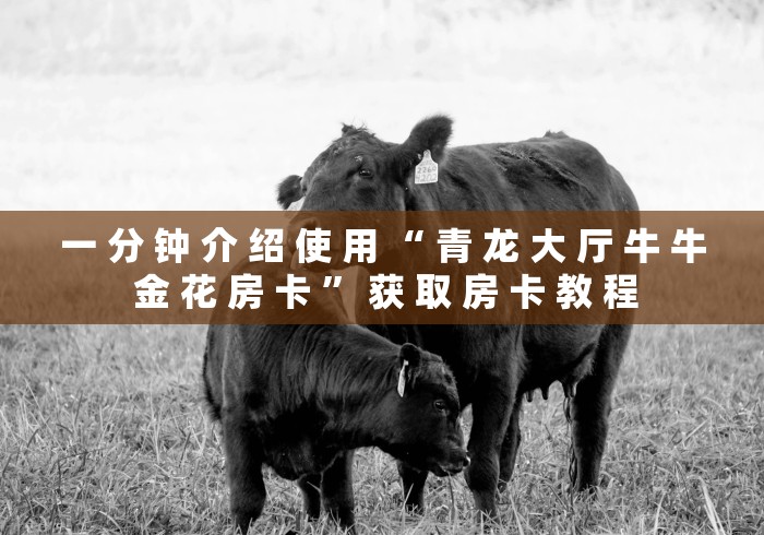 一 分 钟 介 绍 使 用 “ 青 龙 大 厅 牛 牛 金 花 房 卡 ” 获 取 房 卡 教 程	