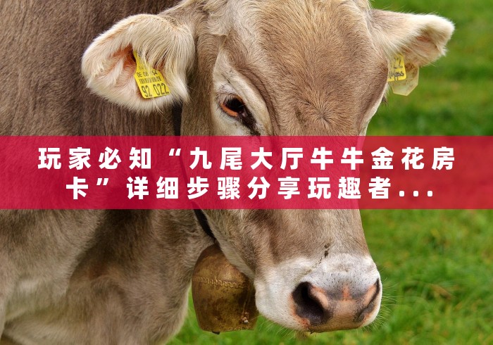 玩 家 必 知 “ 九 尾 大 厅 牛 牛 金 花 房 卡 ” 详 细 步 骤 分 享 玩 趣 者 . . . 玩 家 必 知 “ 九 尾 大 厅 牛 牛 金 花 房 卡 ” 详 细 步 骤 分 享 玩 趣 者 . . .