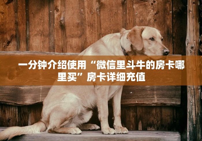 一分钟介绍使用“微信里斗牛的房卡哪里买”房卡详细充值 一分钟介绍使用“微信里斗牛的房卡哪里买”房卡详细充值