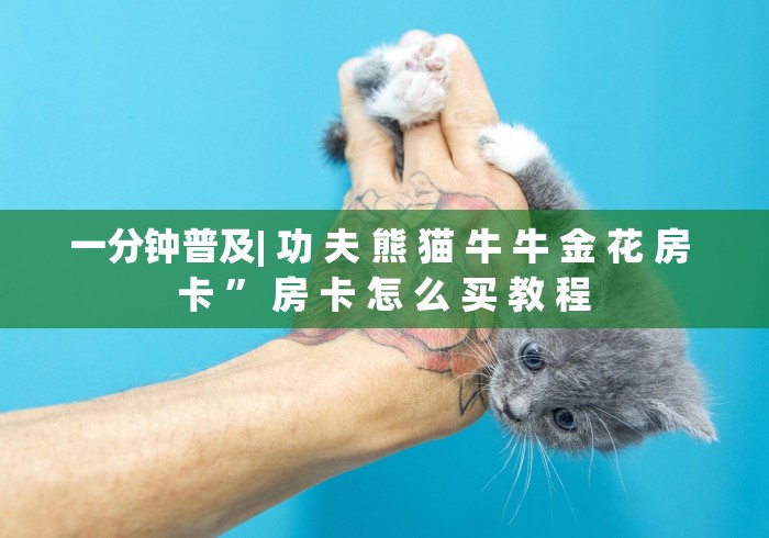 一分钟普及| 功 夫 熊 猫 牛 牛 金 花 房 卡 ” 房 卡 怎 么 买 教 程	