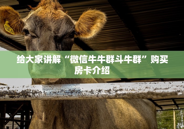 给大家讲解“微信牛牛群斗牛群”购买房卡介绍