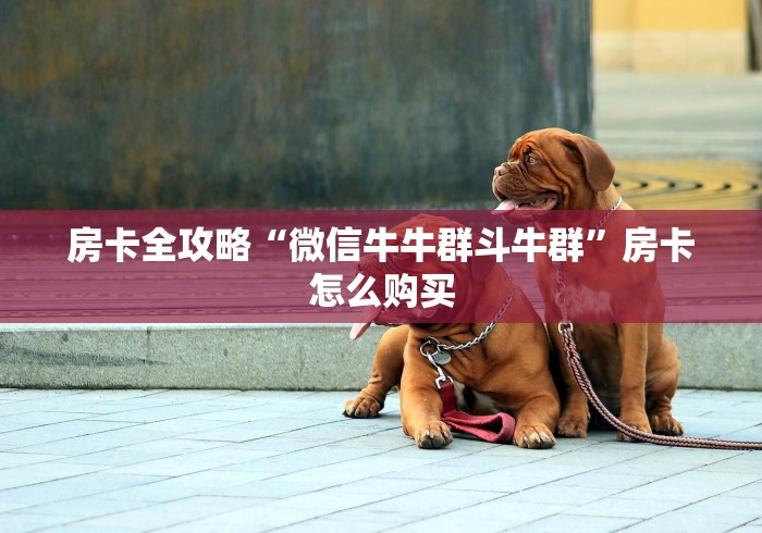 房卡全攻略“微信牛牛群斗牛群”房卡怎么购买