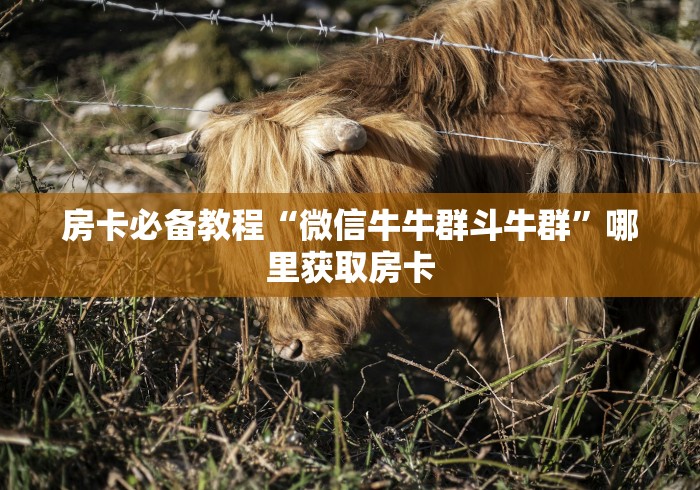 房卡必备教程“微信牛牛群斗牛群”哪里获取房卡