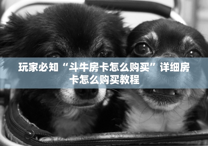 玩家必知“斗牛房卡怎么购买”详细房卡怎么购买教程